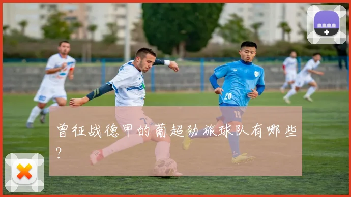 曾征战德甲的葡超劲旅球队有哪些？